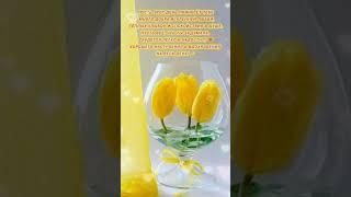 Доброе утро,хорошего дня открытки на каждый день #открытка #доброеутро #видеооткрытка #доброеутречко