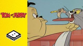 Jerry and the Dog | Tom and Jerry | Boomerang UK