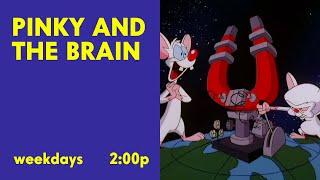 CNTwo - CN Pastel: "Pinky and The Brain" fan-made promo
