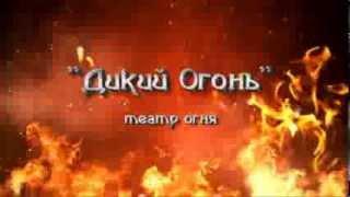 Огненное шоу + пиротехническое шоу  Дикий Огонь (свадьбы, юбилей, корпоратив)