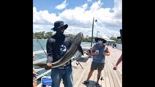 Cobia fishing (land based)