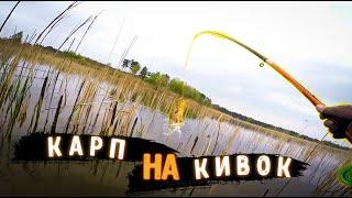 КАРП на боковой кивок / Ловля карпа / Боковой кивок