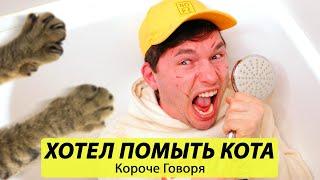 Короче говоря, Я ХОТЕЛ ПОМЫТЬ КОТА - ТимТим