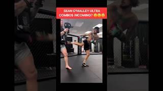 Fmr UFC champ Sean O'Malley found a counter for hiS rematch fight vs Merab Dvalishvili at UFC 316?