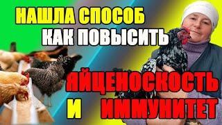 ЯЙЦЕНОСКОСТЬ и ИММУНИТЕТ у кур. Как их ПОВЫСИТЬ,