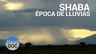 Shaba. Época de Lluvias | Naturaleza - Planet Doc