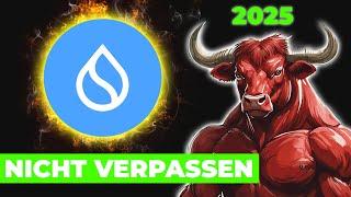 SUI wird den BULLRUN DOMINIEREN! (BREAKOUT)