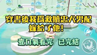 穿書後我爲救贖忠犬男配嫁給了他。他遲鈍，冷漠，還不允許我碰他壹下。他甚至可以爲了女主殺了我。系統卻堅持讓我待在他身邊救贖。#一口气看完#小说#言情#起司爱推文