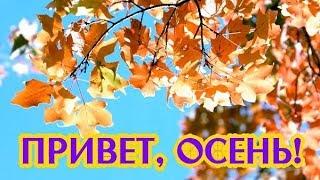 Обучающая презентация для детей ПРО ОСЕНЬ!