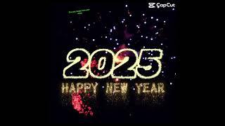 The last new year vid