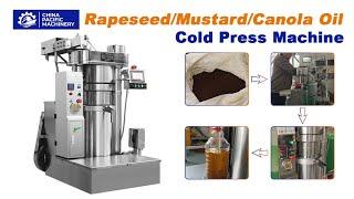 Cold Pressed Rapeseed Oil Expeller|Cold Pressed Mustard Oil Extraction|Mustard Cold Type Oil Press