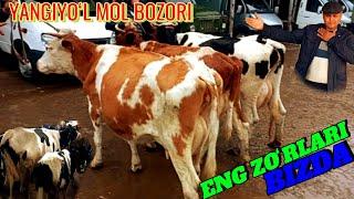 YANGIYOʻL MOL BOZORIDA ONA -BOLA SIGIRLAR 