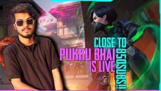 ROAD TO 800SUBS!! VALORANT/MINECRAFT INDIA LIVE STREAM  | PUKKU BHAI IS LIVE FACECAM