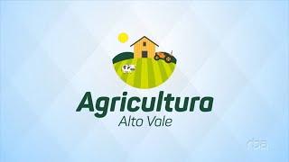 Agricultura Alto Vale – Ed. 22/06/2024