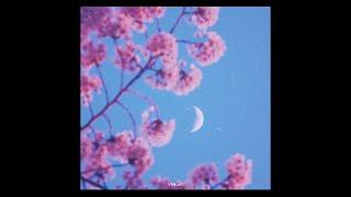(free) lo-fi type beat "serenity" no copyright music for vlogs, etc.