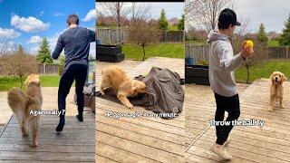 Brothers Try To Bamboozle Dog ...He's Too Smart
