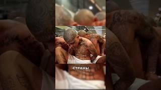 Тюрьма вместо войны: как президент Сальвадорa победил преступность ценой свободы