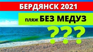 Бердянск 2021. Пляж без медуз. Есть ли такой?