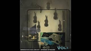 Serious Soundz - Strings Attached Vol. 1