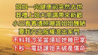 姐姐一向健康卻突然去世，葬禮上姐夫高調帶來新歡，小三看着遺照嘲諷姐姐醜陋，要我交出股權滾出家門，不料我冷笑當場給她幾巴掌，下秒一電話讓姐夫破產償命