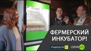 ФЕРМЕРСКИЙ ИНКУБАТОР ДЛЯ РАЗВЕДЕНИЯ КУР (устройство инкубатория и практика)