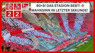 90+5! Lautester Torjubel! Fortuna Düsseldorf - 1.FC Köln 2:2 Alle Tore & Highlights 21.09.2024