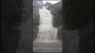 Silver Cascade Falls | Silver falls | Kodaikanal #kodaikanal  #waterfall #shorts #youtube #trending