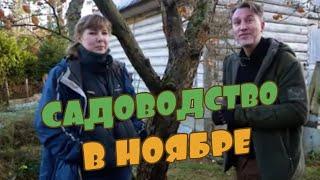 Уборка листьев, вредители, влагозарядный полив, обрезка кустов, деревьев, побелка, подзимняя посадка