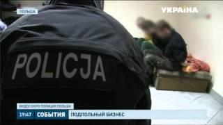 В Польше задержали 58 украинцев за нелегальное производство сигарет