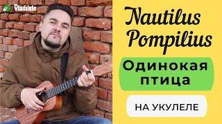 NAUTILUS POMPILIUS - ОДИНОКАЯ ПТИЦА укулеле кавер