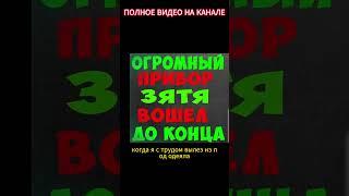 Зять со своим...Интересные истории из жизни. Аудиорассказ