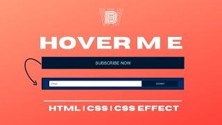 CREARE A COOL SUBSCRIBE BOX || WEBKAARI #html #css