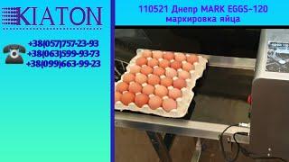 110521 Днепр MARK EGGS-120 маркировка яйца, маркування яєць, egg marking, маркиране на яйца, KIATON