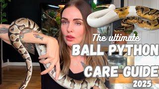 Ultimate BALL PYTHON Care Guide- (2025 Edition) Get them to THRIVE! 