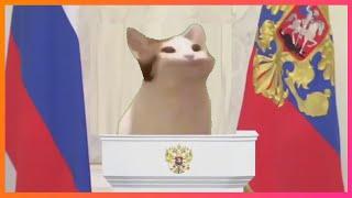 Кот широко открывает рот в ГОСДУМЕ (pop cat) | мем 2020