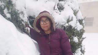 Snowy and Cold Winter Day.#nature #ofw #lifestory #everyone #snowy #davemanalastas #highlights