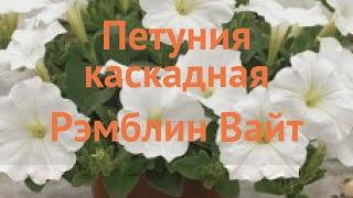 Петуния каскадная Рэмблин Вайт (remblin vayt)  обзор: как сажать, семена петунии Рэмблин Вайт