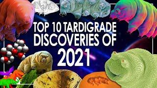 Top 10 Tardigrade Discoveries of 2021