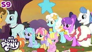 My Little Pony | That's a Laugh | COMPILATION | Friendship Is Magic Season 9