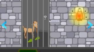 Wow Castle Escape Video Walkthrough