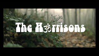 The Harrisons - Shallow Grave (Official Music Video)