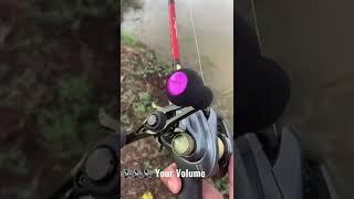 Shimano Slx Dc vs Shimano Curado Dc sound test