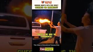 Burning Insects with Fire Spray! Science or Madness? #science #shorts