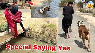 Special Saying Yes Vlog Revenge Time