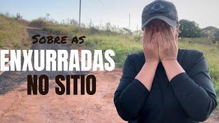 COMO LIDAMOS COM AS ENXURRADAS NO SÍTIO | ALGUNS DE VOCÊS PERCEBERAM | COMEÇANDO UM SÍTIO DO ZERO