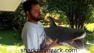 The 53-Inch Master Bruce Platform Shark