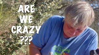 ARE WE COMPLETELY CRAZY / OFF-GRID HOMESTEAD