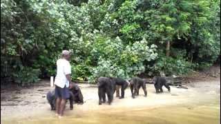 Chimpanzee Island, Liberia - Part 1/2