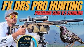 FX DRS PRO AIRGUN HUNTING I H&N PRECISION SLUGS VERSUS STARLINGS I PEST CONTROL WITH AIR RIFLE