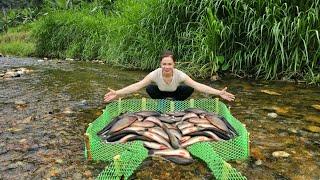 Ana used the green net to make a fish trap and unexpectedly caught a lot of fish in the trap.